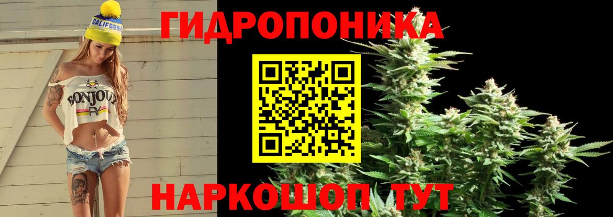 Марихуана White Widow  МАРИХУАНА THC 21%  Славгород  МАРИХУАНА марихуана  Бошки марихуана индика  Вход с VPN 